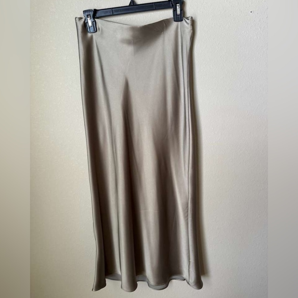Zara Chic Midi Skirt - Picture 4 of 5
